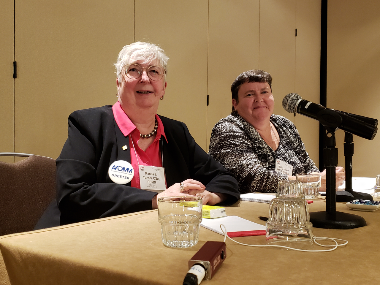 Marcia speaking on a panel at the 2018 AADMM Annual Conference