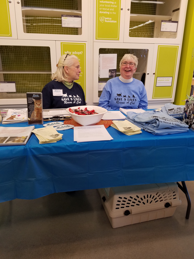 Marcia volunteering at a cat rescue adoption table